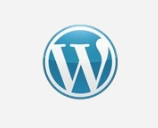Wordpress CMS